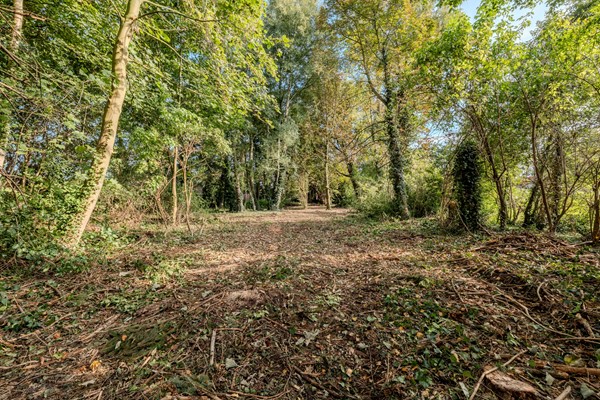 Medium property photo - Zuiderdiep 481, 9521 AN Nieuw-Buinen